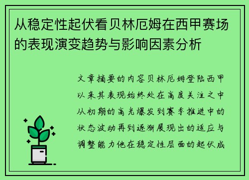 从稳定性起伏看贝林厄姆在西甲赛场的表现演变趋势与影响因素分析